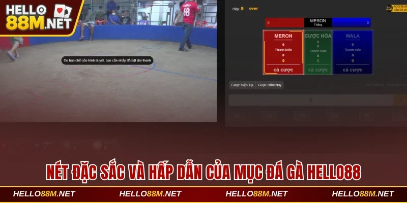 Nét đặc sắc và hấp dẫn của chuyên mục đá gà Hello88