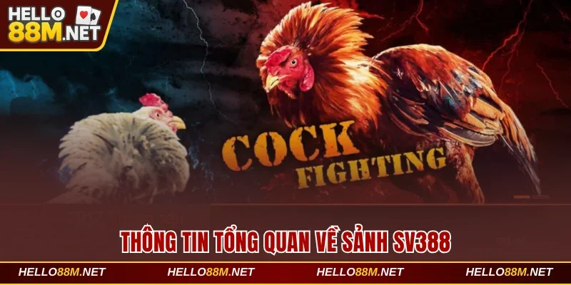 Thông tin tổng quan về sảnh SV388