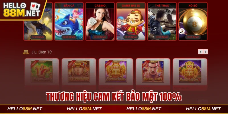 Thương hiệu cam kết bảo mật 100%